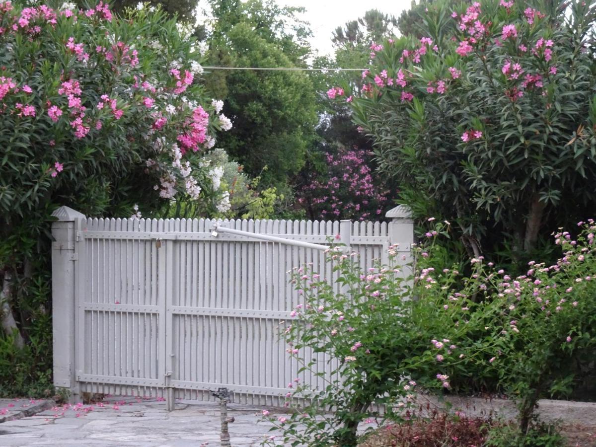 Spitaki Villa เปฟโกโฮรี ภายนอก รูปภาพ
